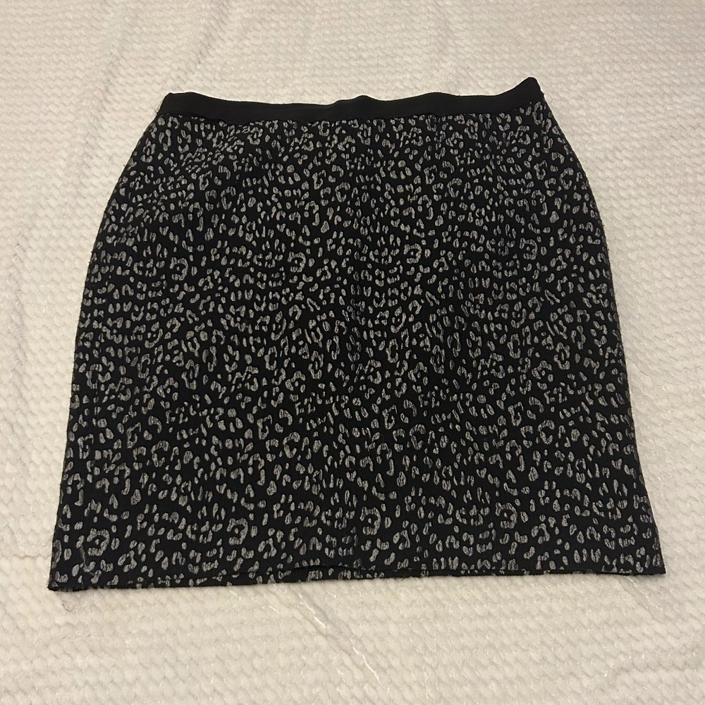 Ann Taylor skirt